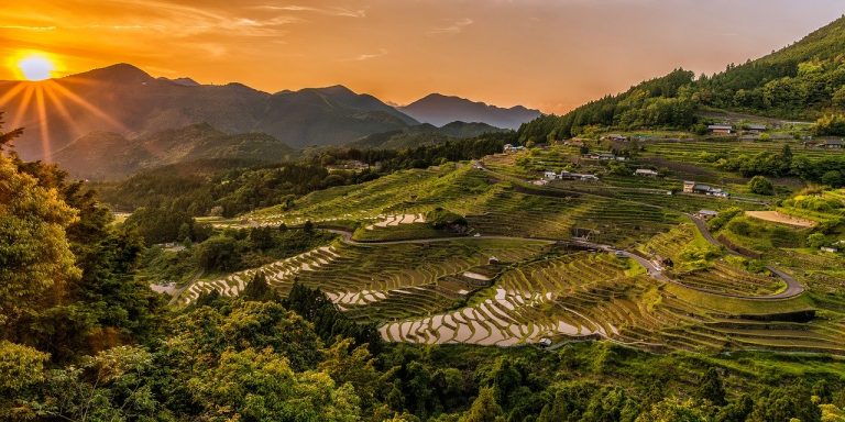 Le japon, une destination à ne surtout pas louper dans ses voyages.